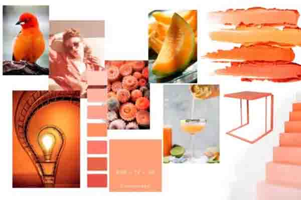 産品設計(jì)公司